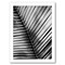 Palm Frond I by Debra Van Swearingen Black Framed Print 8x10 - Americanflat